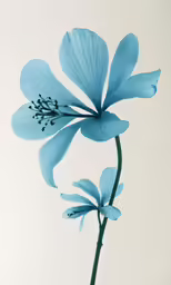a flower in a vase that is blue