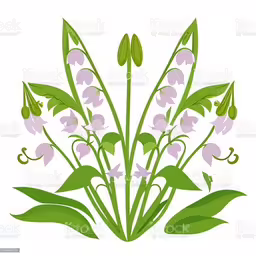 an abstract floral design on a white background royalty,green and purple flowers with leaves on a white background royalty