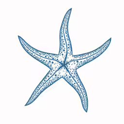 a blue starfish with a white background