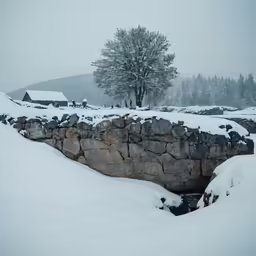 a small bridge in the snow by a building