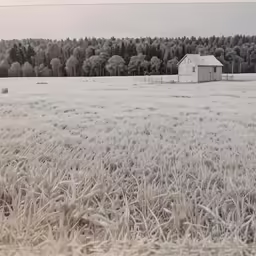 a large field covered in frost with a house