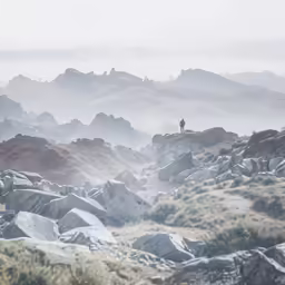 a landscape of large rocks and bushes and a man on a scooter