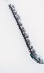 person snowboarding down hill with trees on the mountain