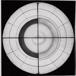 the view from behind, which shows a circular shape
