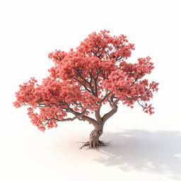 there is a small tree with many pink flowers