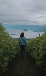 a woman standing between a field of beans