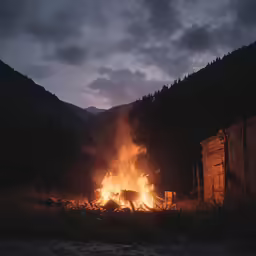 fire is lit in an open area near a forest