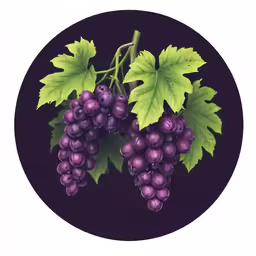 grapes and leaves on a round black background