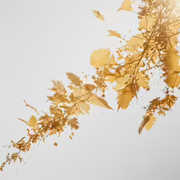 leaves in a tree are silhouetted against a sky