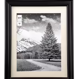 a black and white photo with the snow falling