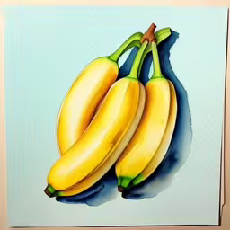 there are three bananas that are in color,there are two bananas on a blue background