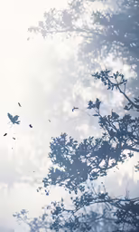 a tree with many leaves casting on the leaves