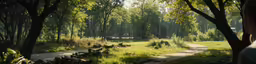 a person walks in the woods near a pathway