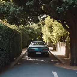 a car is stopped on the side of a country road