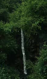 the waterfall is running through the trees