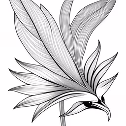 a flower is drawn in black and white,an ornate bird sitting on top of a leaf