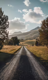 a picture taken from the side of a gravel road near trees