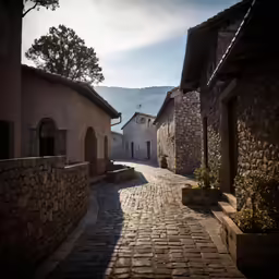 an empty cobble stone path leads to two buildings