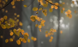 some leaves and a bird on a branch