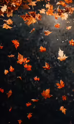 some leaves falling from the sky and are falling down