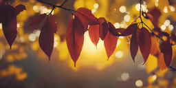 some leaves are on the tree as the sun shines down