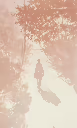 a man walking down a hill surrounded by trees