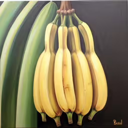 this painting shows bananas hanging from a stalk