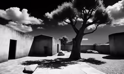 a tree on a stone patio in the desert
