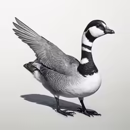 a small bird is standing next to an object
