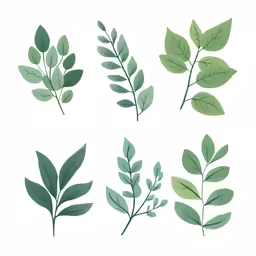 leaf set of different branches with green leaves