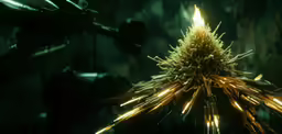 a close up of an illuminated plant in a forest