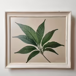 a painting on a wall, with green leafy plant in it