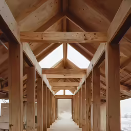 this image is an example of a wood building