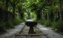 an empty train track surrounded by trees and plants