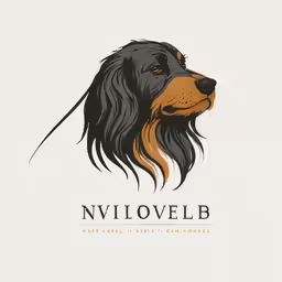an image of a dog with a long black fur and a brown mane