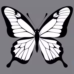 a black and white butterfly on a gray background,a white and black butterfly on grey