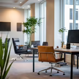 a chair and desk in an office with a plant