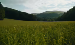 a grassy field near trees and hills with clouds