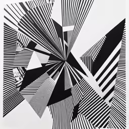 a very pretty black and white artwork with geometric lines