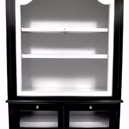 a bookcase and two glass doors, all white, with a black finish