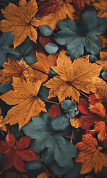 leaves are falling from tree branches with color