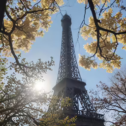 the eiffel tower towering over trees in paris