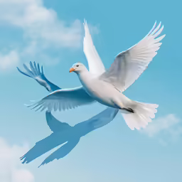 an artistic photo of a bird with wings outstretched