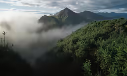 low lying clouds hovering over the green vegetation and hills