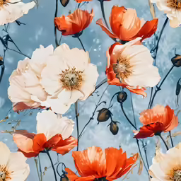 a large number of poppies are in the sky