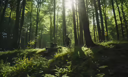 there is a man walking through the woods