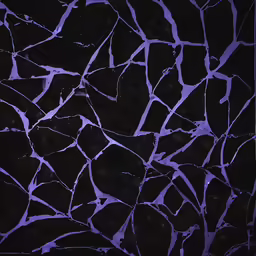 the wall has cracks in it as seen through the glass
