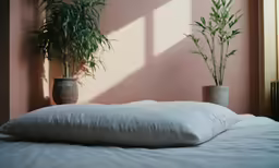 two plants on a bed next to the pillows