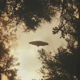 an object in the middle of some trees