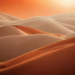 a desert scene with sunset in the background
